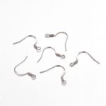 Stainless Steel Earring Hooks